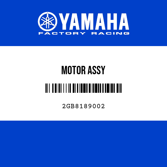 MOTOR ASSY