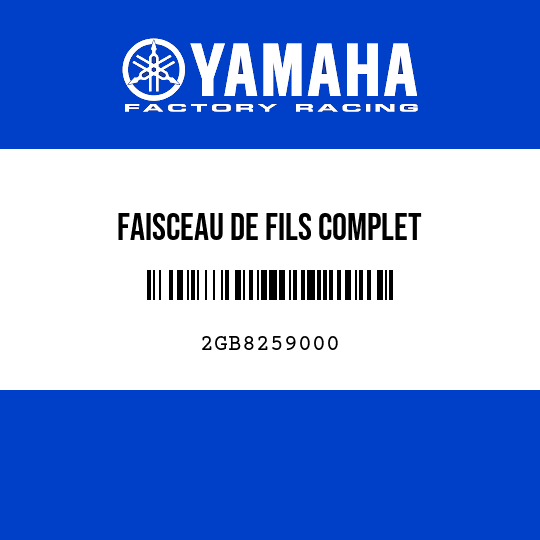 FAISCEAU DE FILS COMPLET