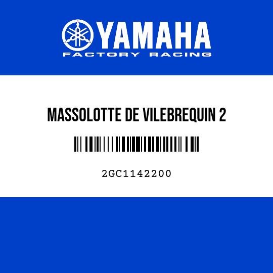 MASSOLOTTE DE VILEBREQUIN 2