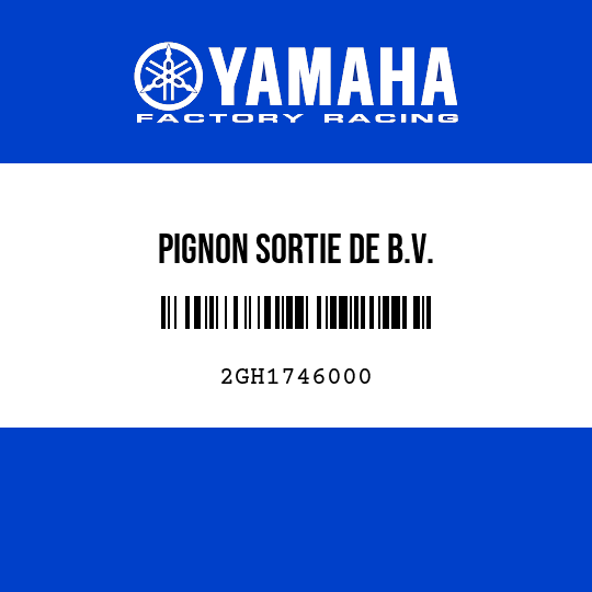 PIGNON SORTIE DE B.V.