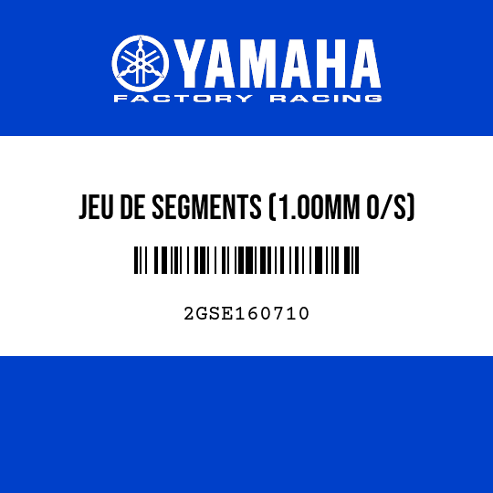 JEU DE SEGMENTS (1.00MM O/S)