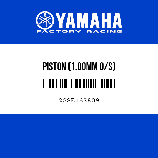 PISTON (1.00MM O/S)