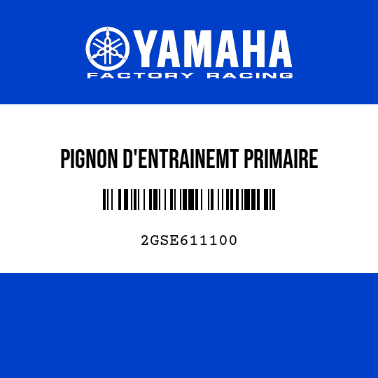 PIGNON D'ENTRAINEMT PRIMAIRE