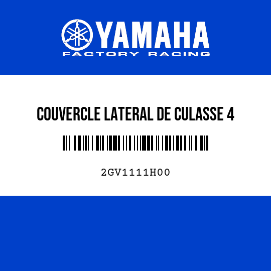 COUVERCLE LATERAL DE CULASSE 4
