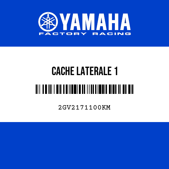 CACHE LATERALE 1