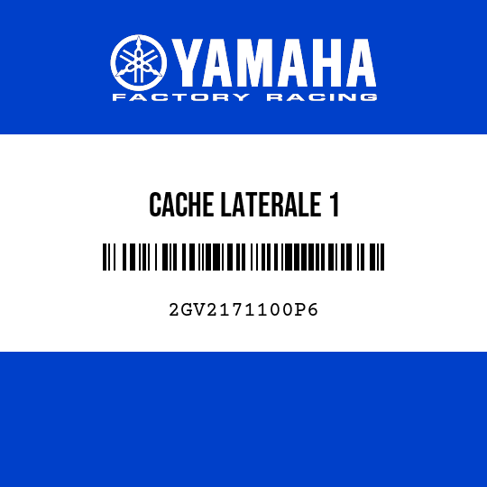 CACHE LATERALE 1