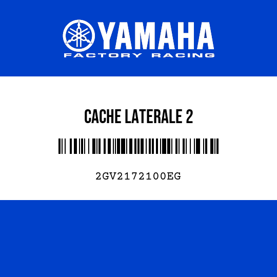 CACHE LATERALE 2