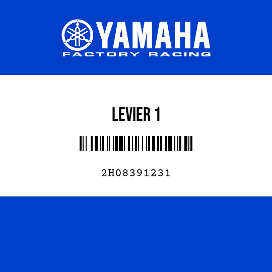 LEVIER 1