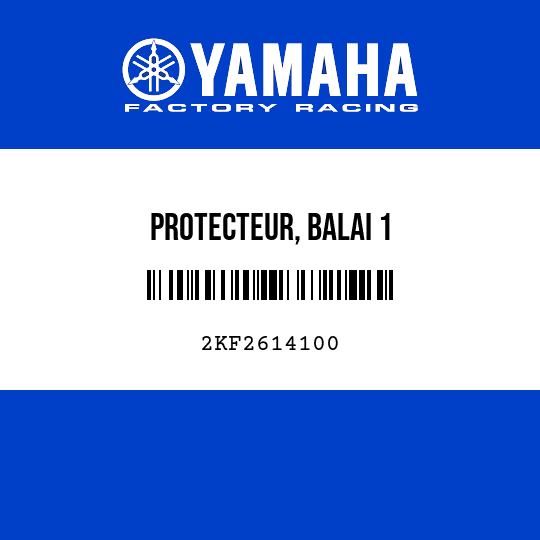PROTECTEUR, BALAI 1