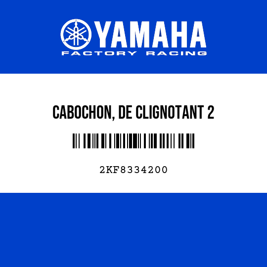 CABOCHON, DE CLIGNOTANT 2