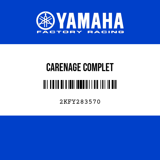 CARENAGE COMPLET