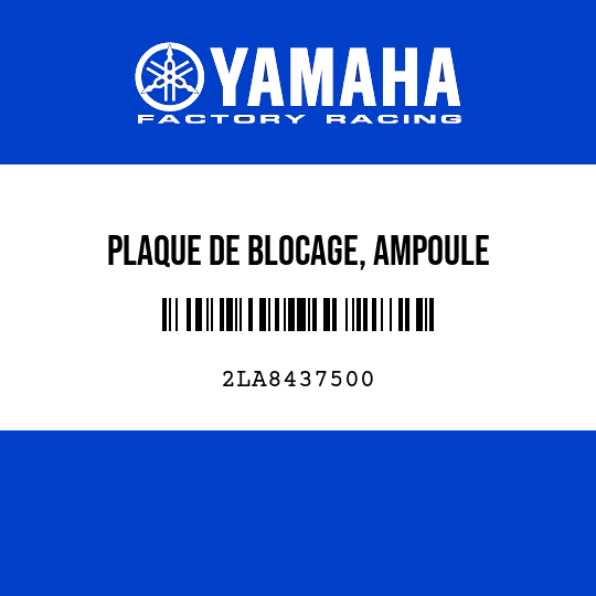 PLAQUE DE BLOCAGE, AMPOULE