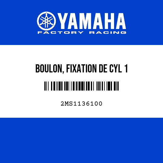 BOULON, FIXATION DE CYL 1