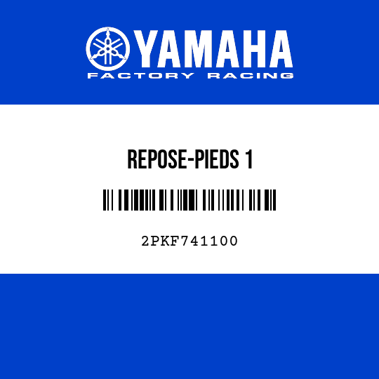 REPOSE-PIEDS 1