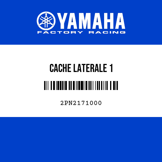 CACHE LATERALE 1