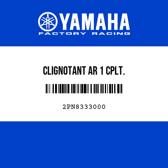 CLIGNOTANT AR 1 CPLT.