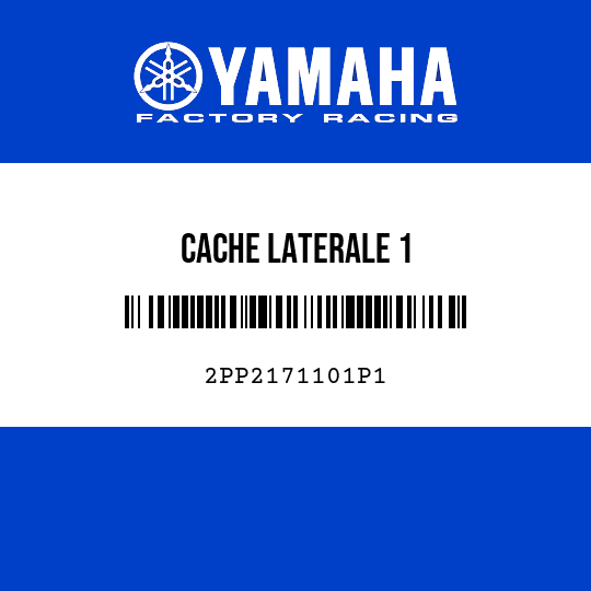 CACHE LATERALE 1