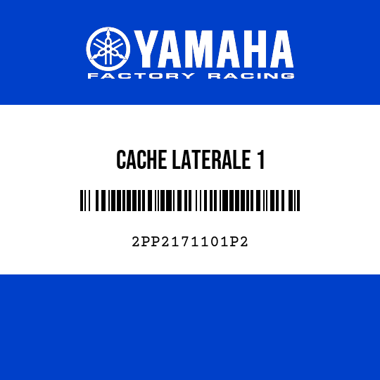 CACHE LATERALE 1