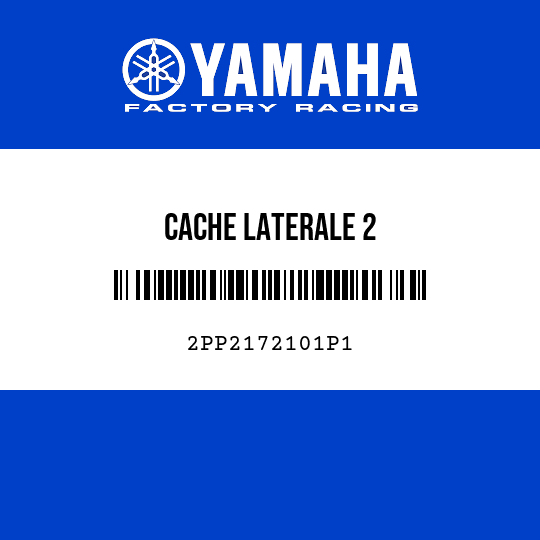 CACHE LATERALE 2