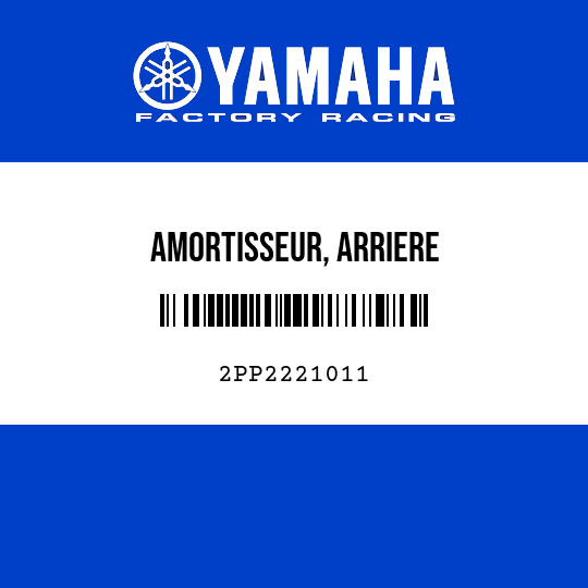 AMORTISSEUR, ARRIERE