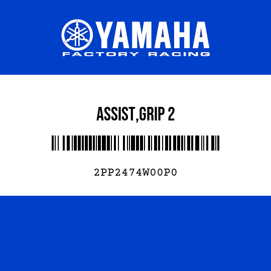 ASSIST,GRIP 2