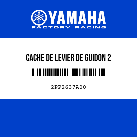 CACHE DE LEVIER DE GUIDON 2