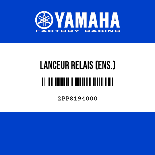 LANCEUR RELAIS (ENS.)