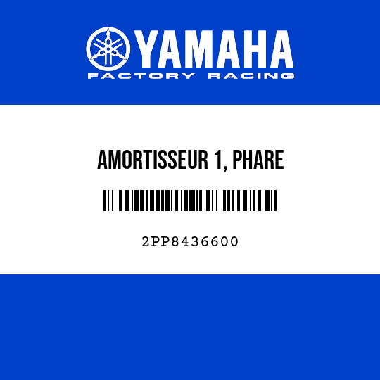 AMORTISSEUR 1, PHARE