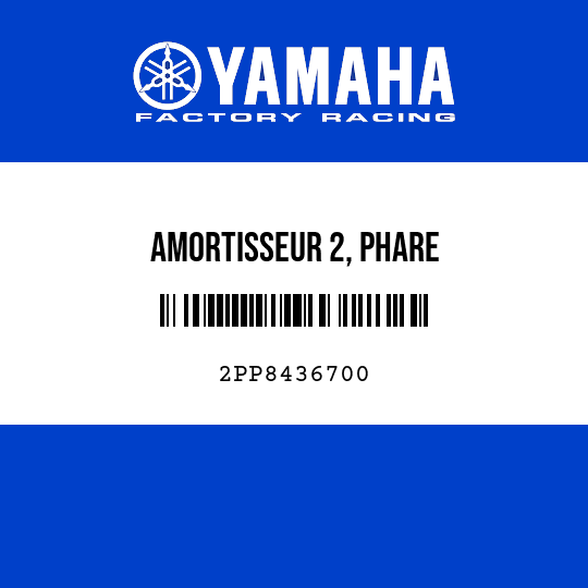 AMORTISSEUR 2, PHARE