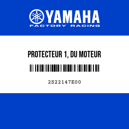 PROTECTEUR 1, DU MOTEUR
