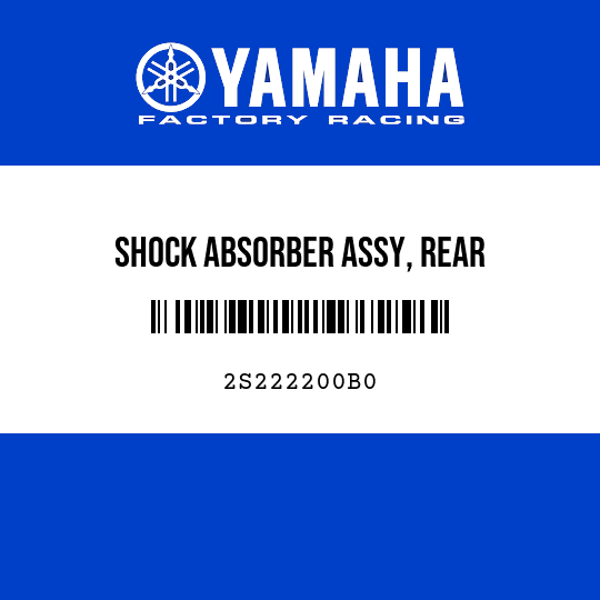 SHOCK ABSORBER ASSY, REAR
