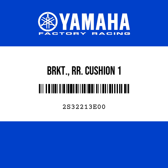 BRKT., RR. CUSHION 1