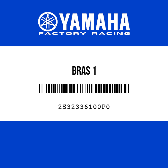 BRAS 1