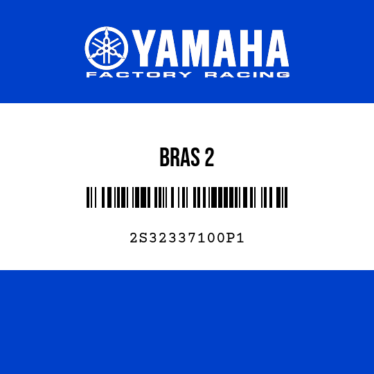 BRAS 2