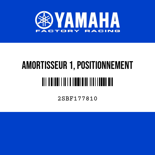 AMORTISSEUR 1, POSITIONNEMENT