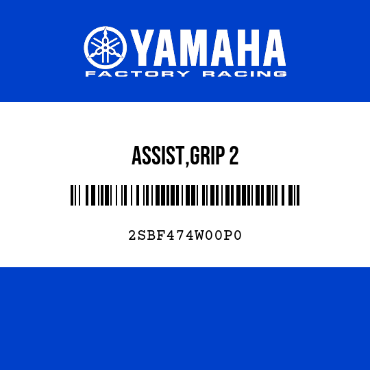 ASSIST,GRIP 2