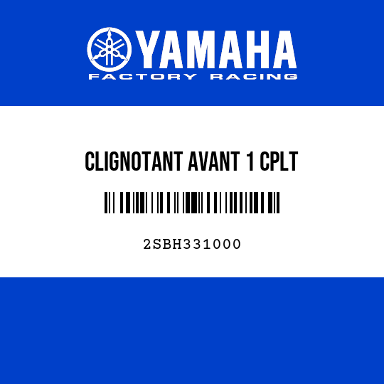CLIGNOTANT AVANT 1 CPLT