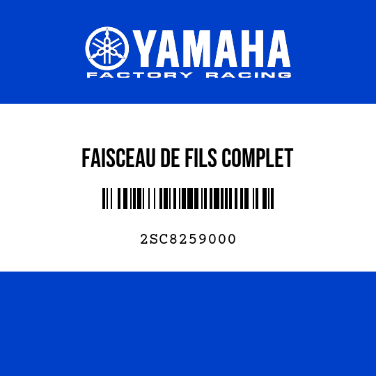 FAISCEAU DE FILS COMPLET