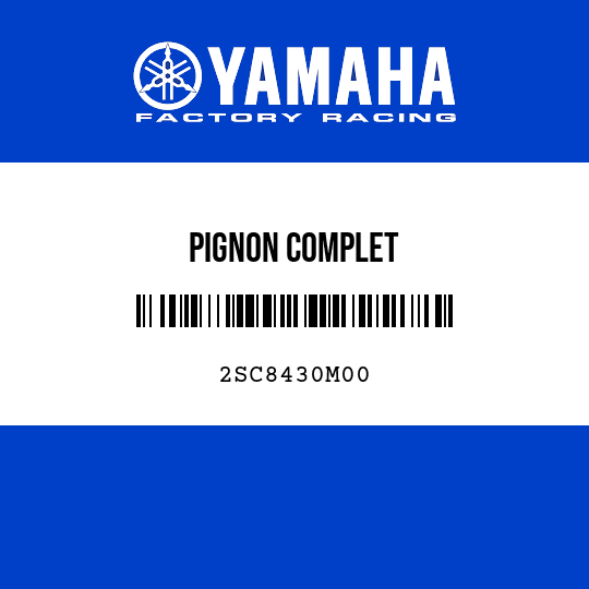 PIGNON COMPLET