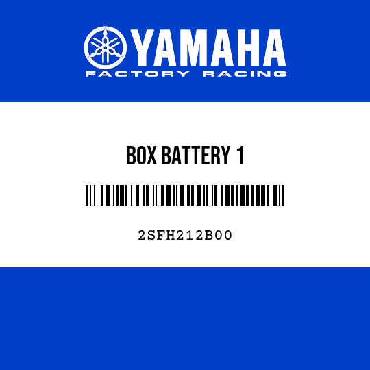 BOX BATTERY 1