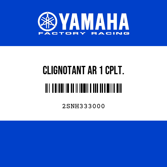 CLIGNOTANT AR 1 CPLT.