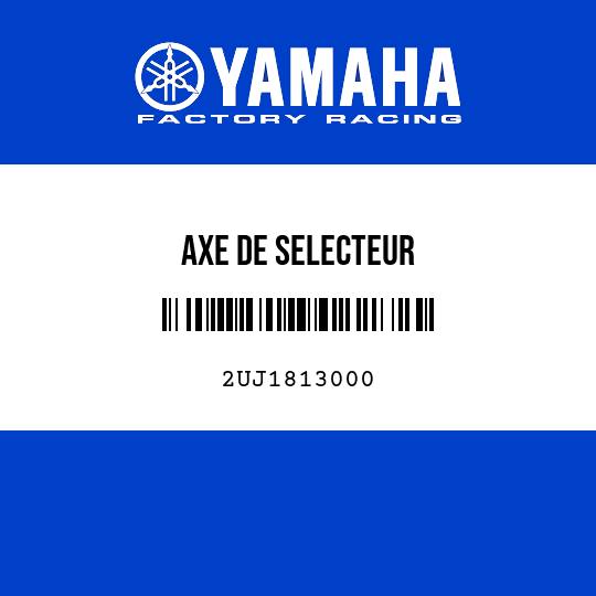 AXE DE SELECTEUR