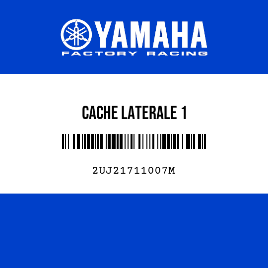 CACHE LATERALE 1