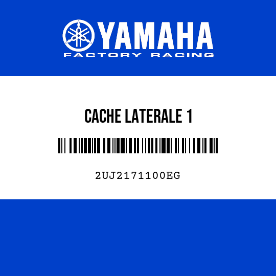 CACHE LATERALE 1