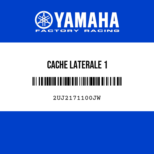 CACHE LATERALE 1