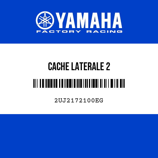 CACHE LATERALE 2