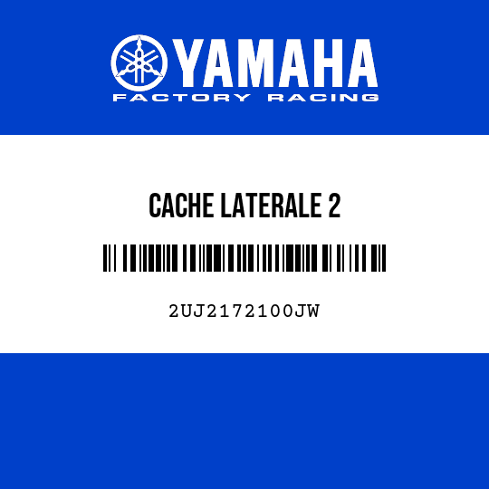 CACHE LATERALE 2