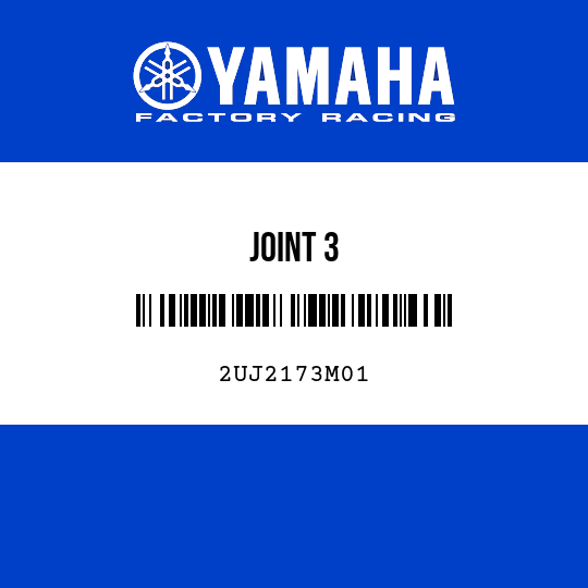 JOINT 3