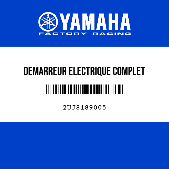 DEMARREUR ELECTRIQUE COMPLET