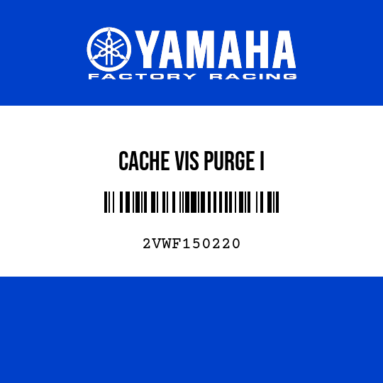 CACHE VIS PURGE I